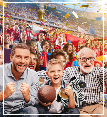 SUPER-SOFT PLUSH - ZEBRA 9" WITH FOOTBALL PLUSH