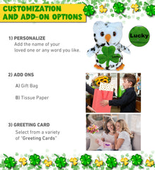 DolliBu White Owl Bird Stuffed Animal with Green Plush Shamrock - 8.5 Inches