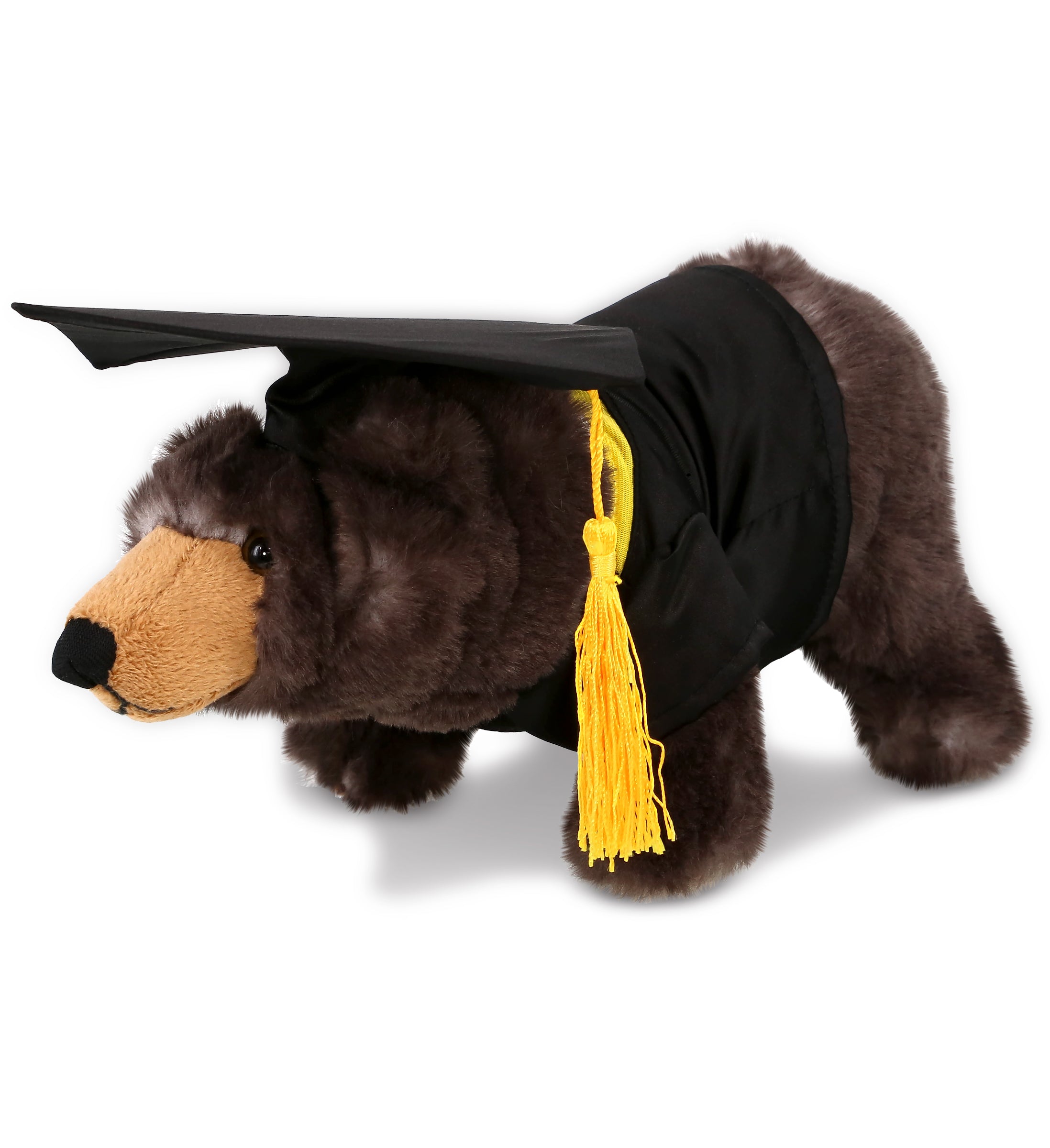 PLUSH GRADUATION - SUPER SOFT PLUSH - STANDING WILD BLACK BEAR