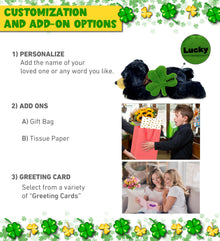 DolliBu Lying Wild Black Bear Stuffed Animal with Green Plush Shamrock, 10 Inch