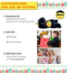 DolliBu Cute Lying Wild Black Bear with Yellow Easter Egg Plush - 10 Inches