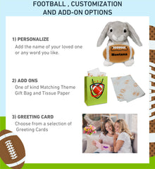 SUPER SOFT PLUSH - GREY RABBIT WITH FOOTBALL PLUSH