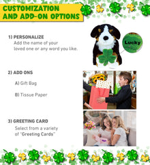 DolliBu Bernese Mountain Dog Stuffed Animal with Green Plush Shamrock - 8 Inch