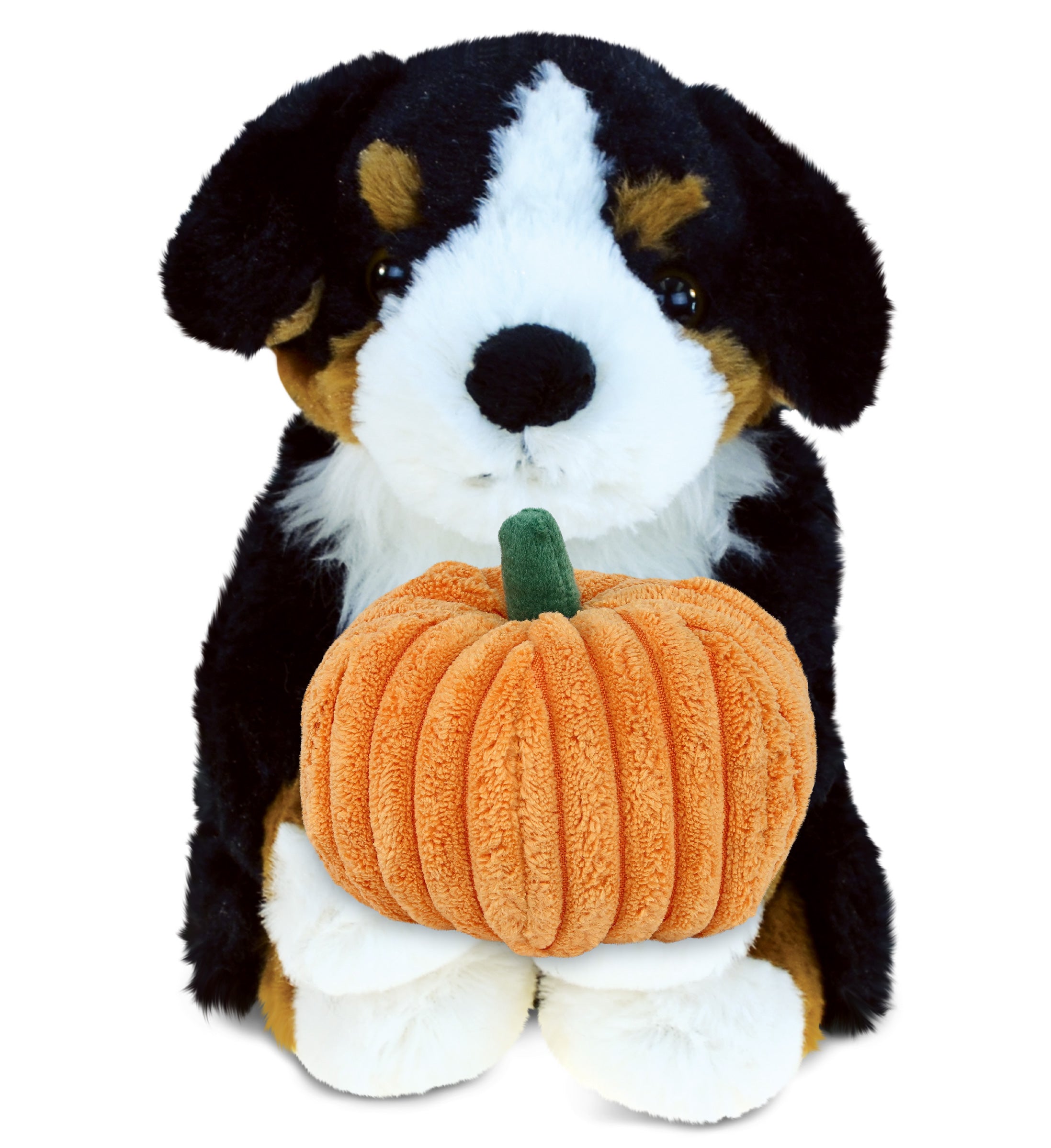 PLUSH PUMPKIN - SUPER SOFT PLUSH - BERNESE DOG