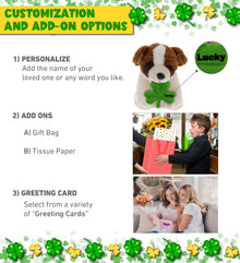 DolliBu St. Bernard Dog Stuffed Animal with Green Plush Shamrock - 8 Inches