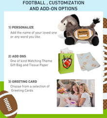 SUPER SOFT PLUSH - LYING GREY DONKEY WITH FOOTBALL PLUSH