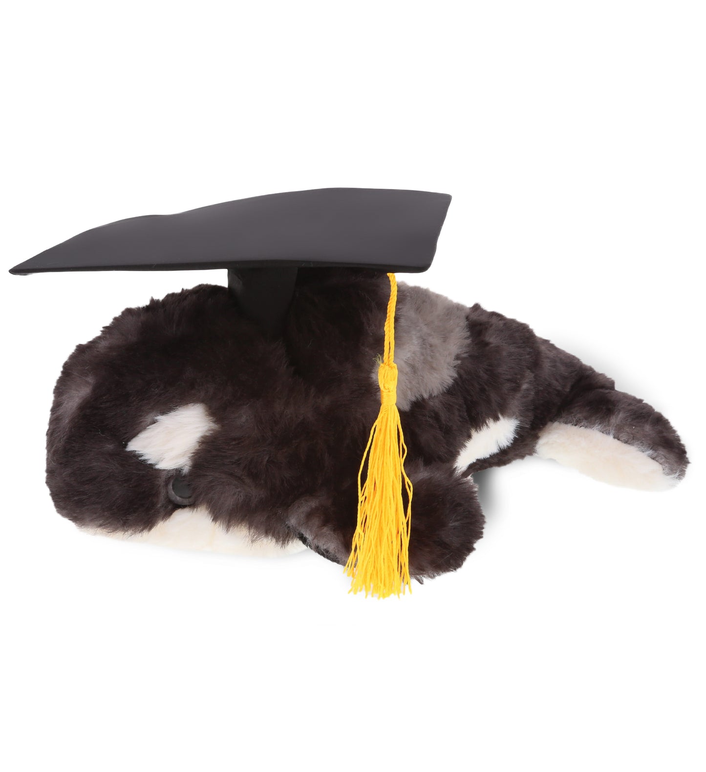 PLUSH GRADUATION - SUPER SOFT PLUSH - WILD KILLER WHALE SMALL