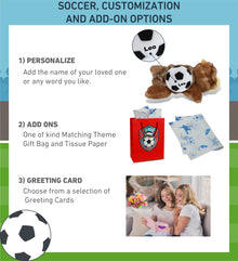 SUPER SOFT PLUSH - BROWN SEA TURTLE SMALL WITH SOCCER PLUSH