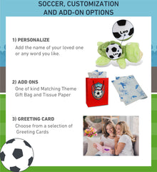 SUPER SOFT PLUSH - GREEN SEA TURTLE LARGE WITH SOCCER PLUSH