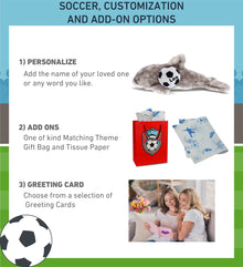 SUPER SOFT PLUSH - GREY DOLPHIN 12.5 INCH WITH SOCCER PLUSH