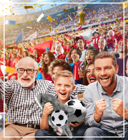 SUPER SOFT PLUSH - GREY DOLPHIN 16.5 INCH WITH SOCCER PLUSH