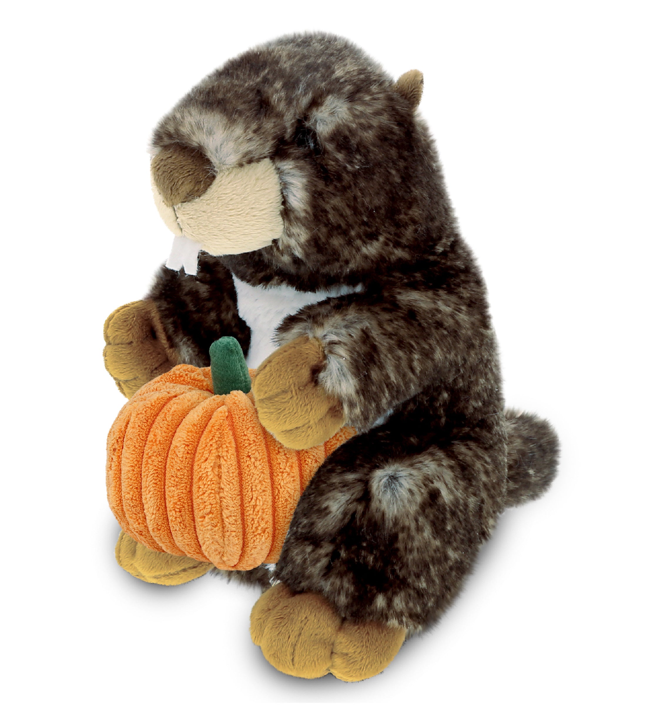 PLUSH PUMPKIN - SUPER SOFT PLUSH - STANDING MARMOT