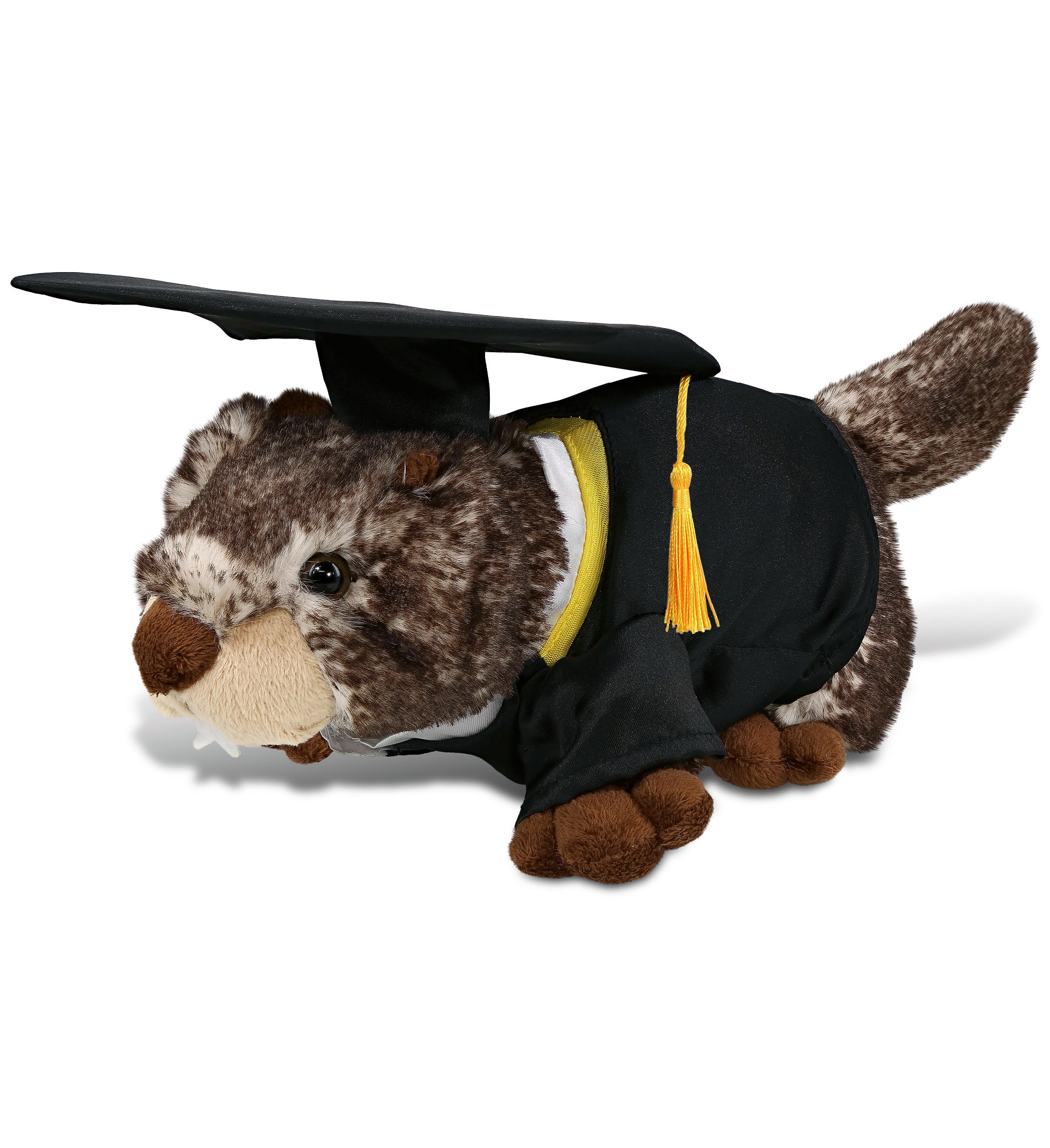 PLUSH GRADUATION - SUPER SOFT PLUSH - LYING MARMOT
