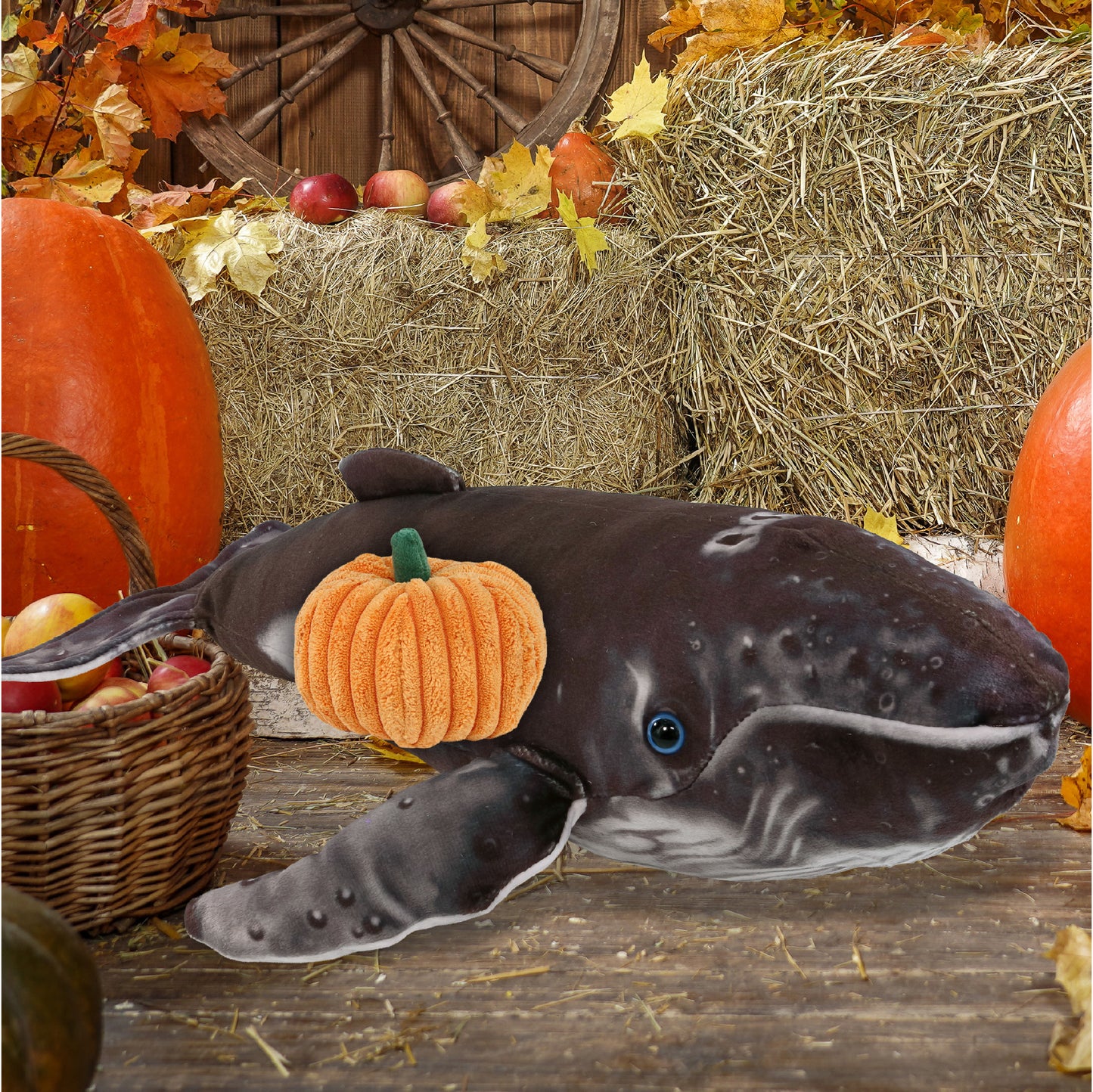 WILD COLLECTION PLUSH - HUMPBACK WHALE 16" WITH PUMPKIN PLUSH