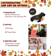 WILD COLLECTION PLUSH - SEA LION 15" WITH PUMPKIN PLUSH