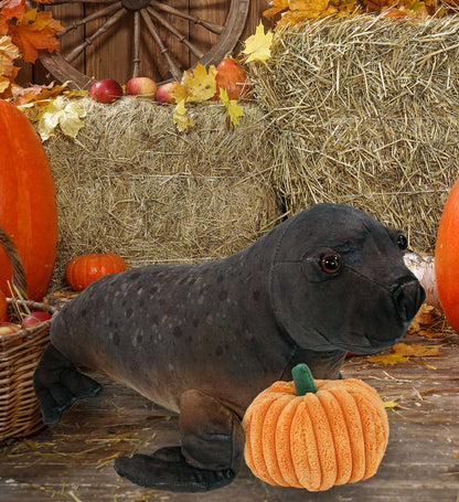 WILD COLLECTION PLUSH - SEA LION 15" WITH PUMPKIN PLUSH