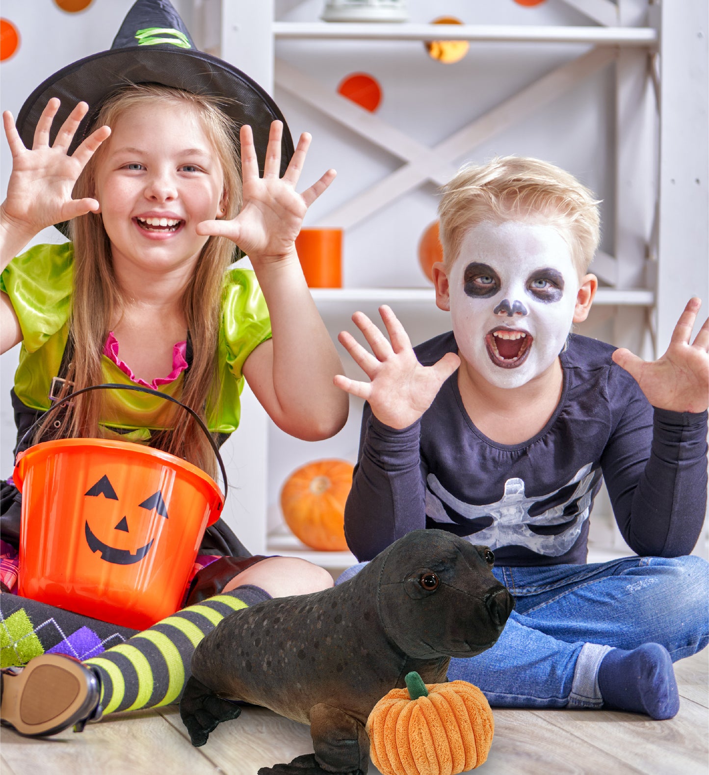 WILD COLLECTION PLUSH - SEA LION 15" WITH PUMPKIN PLUSH