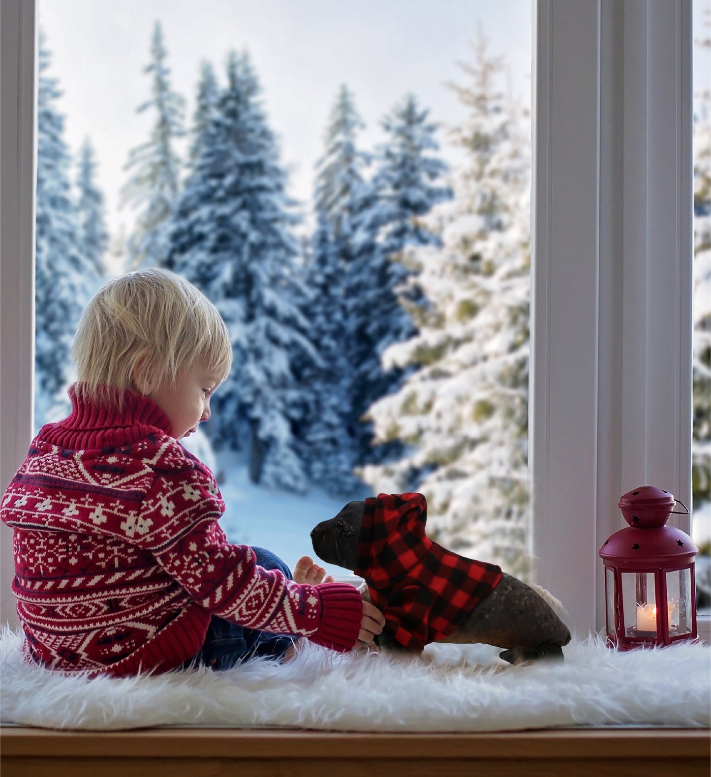 WILD COLLECTION PLUSH - SEA LION 15" WITH RED PLAID HOODIE