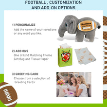 ECO FRIENDLY SUPER-SOFT PLUSH - ELEPHANT 14" With Football Plush