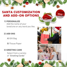 6" PLUSH - SEA TURTLE WITH SANTA DRESS UP