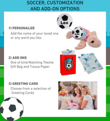 SUPER-SOFT PLUSH - RAINBOW PINK SEA TURTLE 10" WITH SOCCER PLUSH