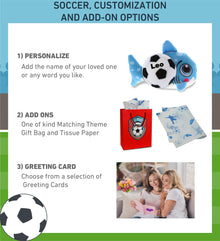 PLUSH BUDDIES - SHARK WITH SOCCER PLUSH