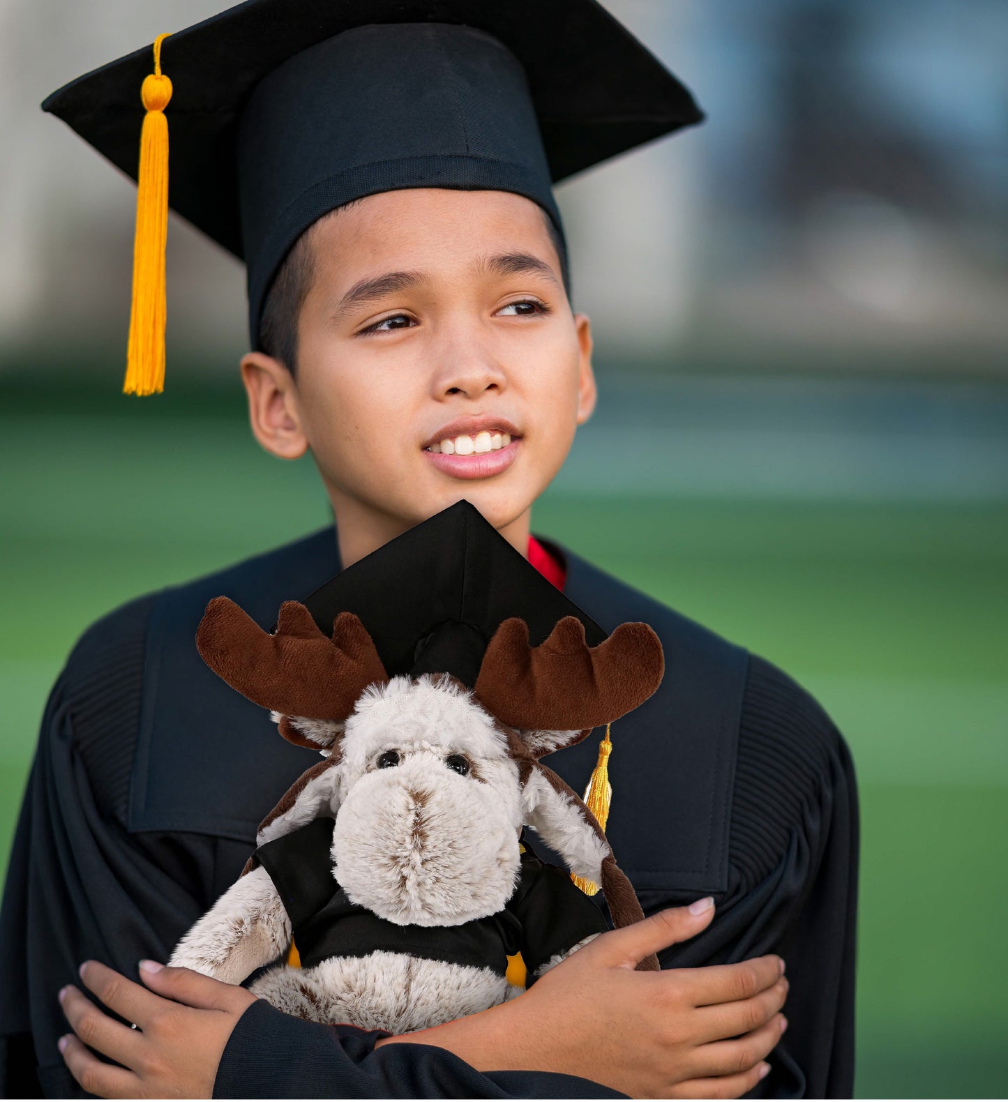 DolliBu Moose Graduation Plush Toy with Gown and Cap with Tassel - 10 Inches