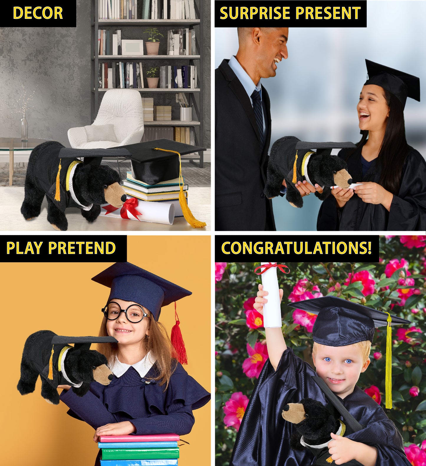 DolliBu Wild Black Bear Graduation Plush Toy with Gown and Cap - 11 Inches
