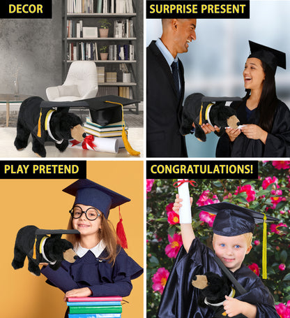DolliBu Wild Black Bear Graduation Plush Toy with Gown and Cap - 11 Inches