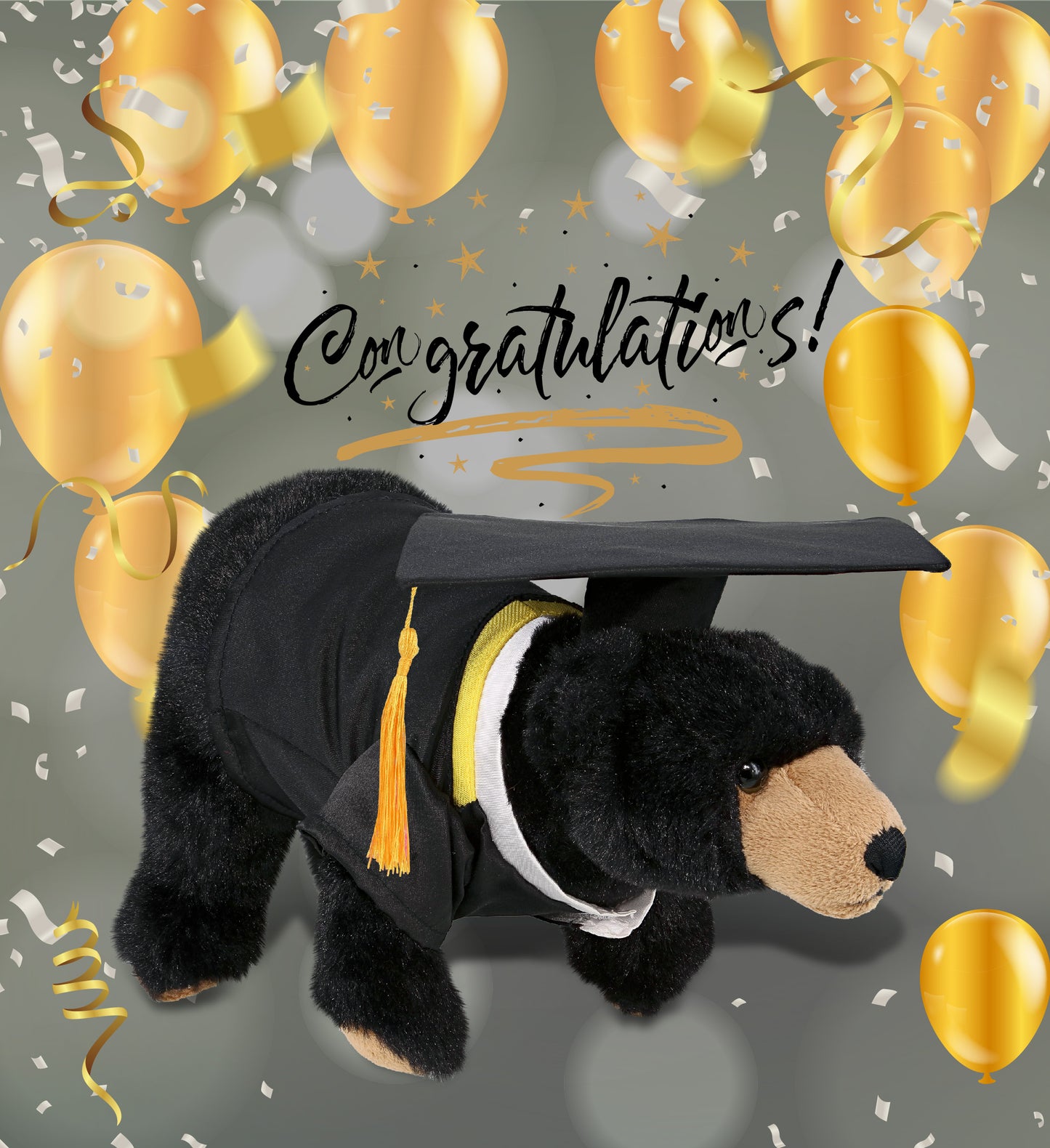 DolliBu Wild Black Bear Graduation Plush Toy with Gown and Cap - 11 Inches