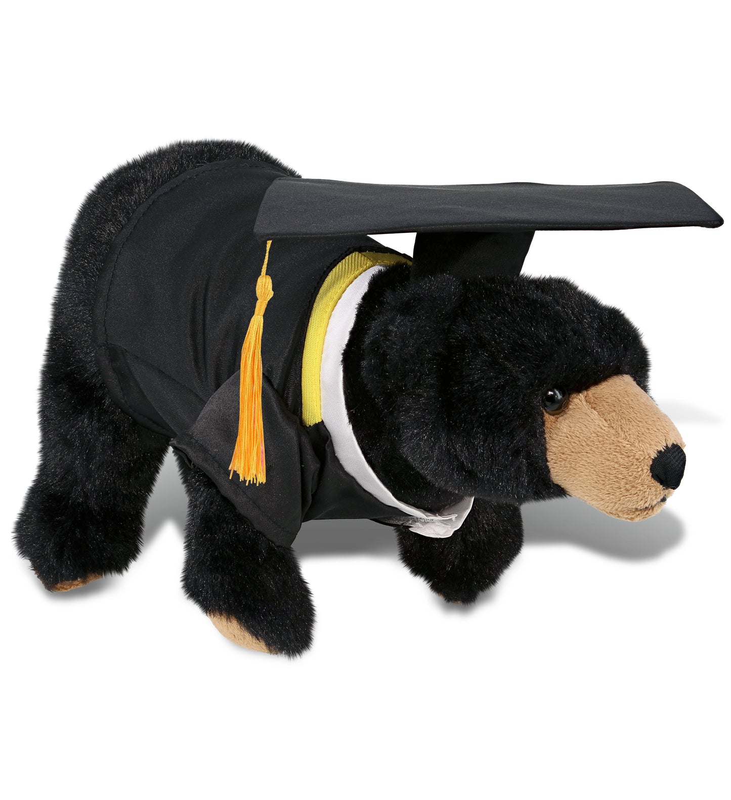 DolliBu Wild Black Bear Graduation Plush Toy with Gown and Cap - 11 Inches