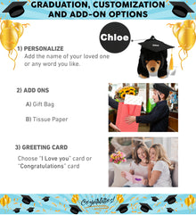 DolliBu Large Wild Black Bear Graduation Plush with Graduation Cap - 16 inches