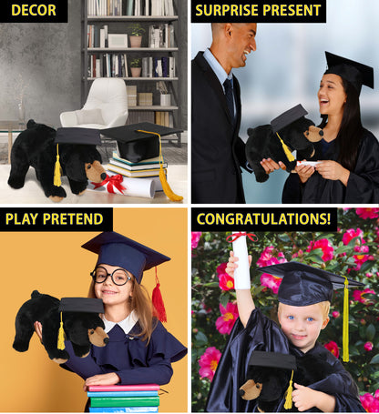 DolliBu Large Wild Black Bear Graduation Plush with Graduation Cap - 16 inches