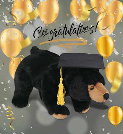 DolliBu Large Wild Black Bear Graduation Plush with Graduation Cap - 16 inches