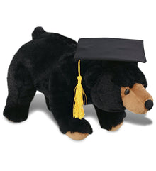 DolliBu Large Wild Black Bear Graduation Plush with Graduation Cap - 16 inches