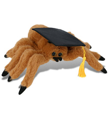 DolliBu Brown Spider Graduation Plush with Graduation Cap with Tassel - 8 inch