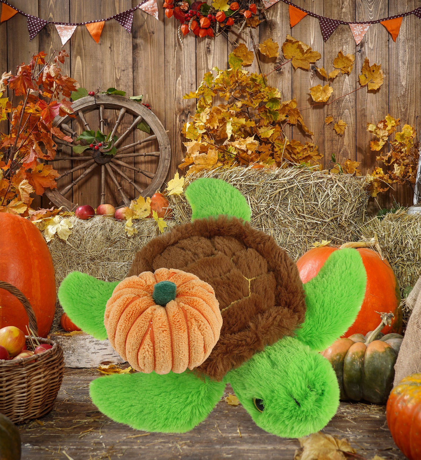 BIG EYE PLUSH - SEA TURTLE WITH PUMPKIN PLUSH