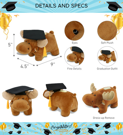 DolliBu Moose - Plush Bank Graduation Toy with Cap with Tassel Outfit - 9 Inch