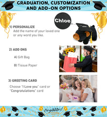 DolliBu Black Bear - Plush Bank Graduation Toy with Cap with Tassel - 9 Inches