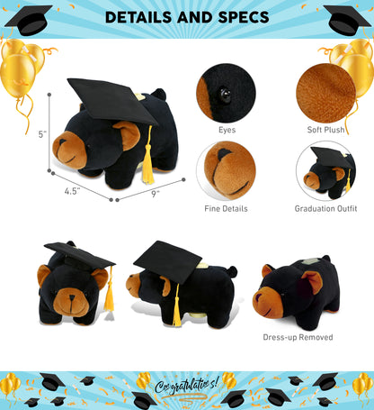 DolliBu Black Bear - Plush Bank Graduation Toy with Cap with Tassel - 9 Inches