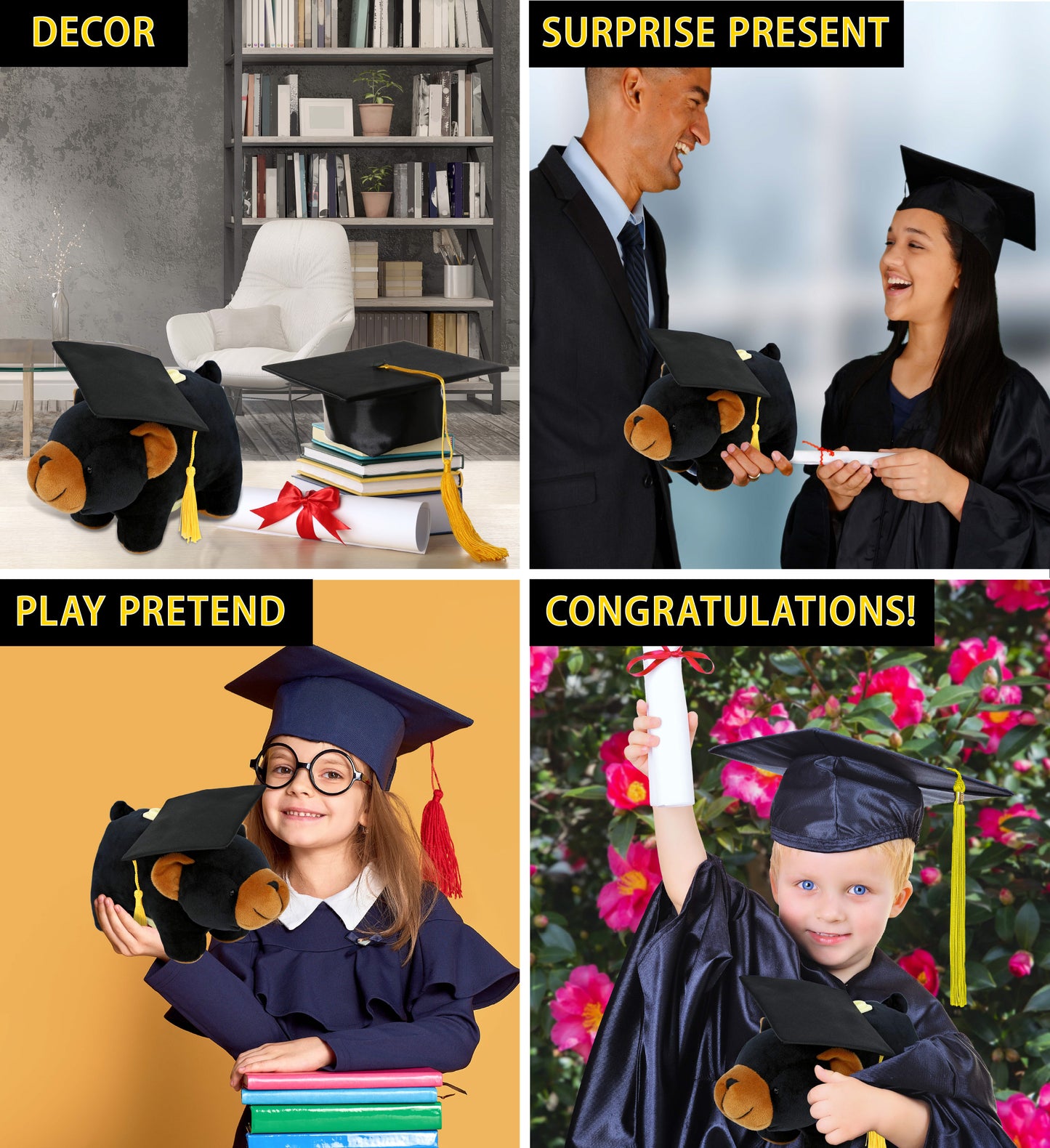 DolliBu Black Bear - Plush Bank Graduation Toy with Cap with Tassel - 9 Inches