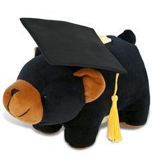 DolliBu Black Bear - Plush Bank Graduation Toy with Cap with Tassel - 9 Inches