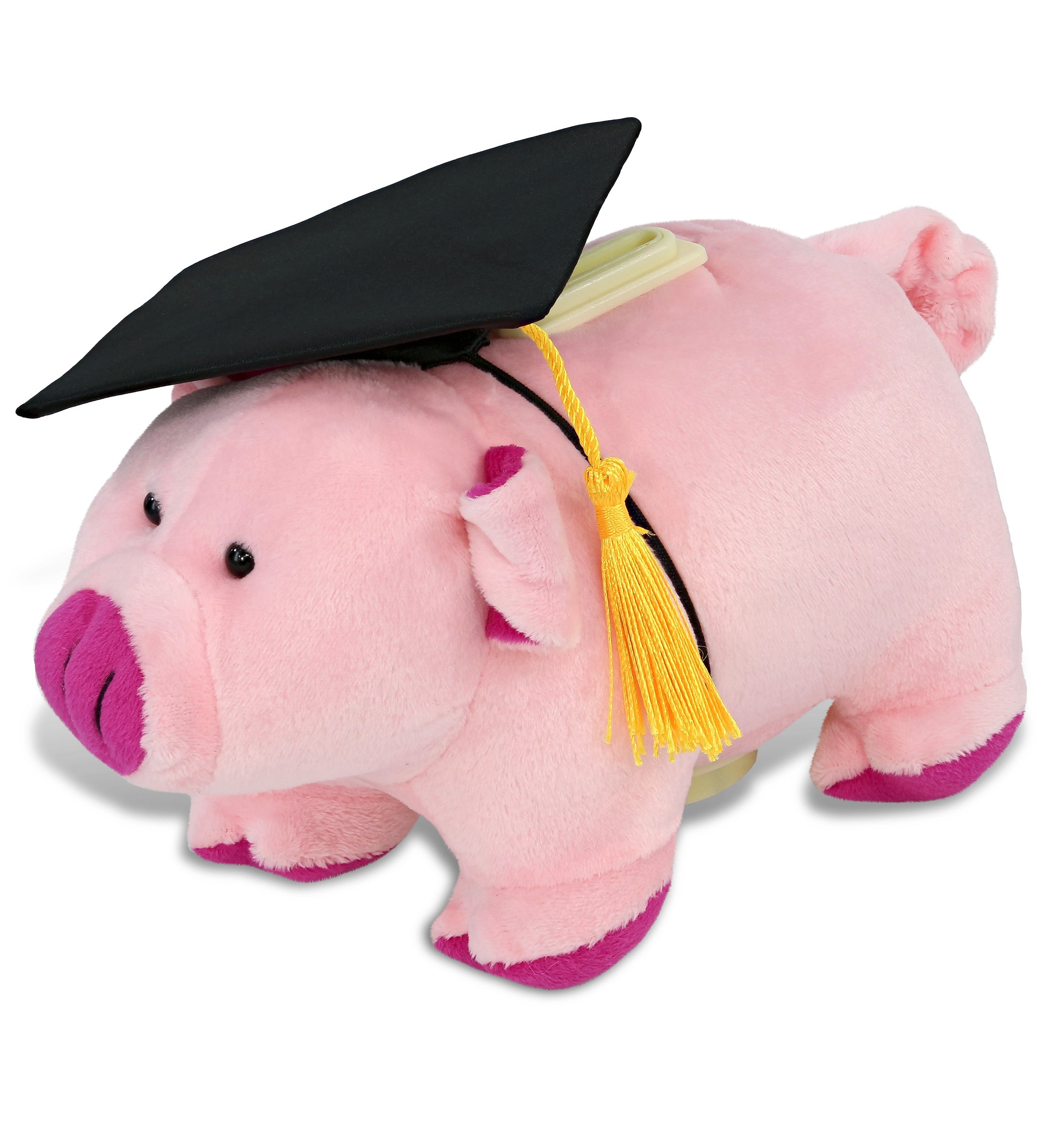 DolliBu Pig - Plush Bank Graduation with a Graduation Cap with Tassel, 9 Inches