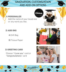 DolliBu Sloth Graduation Plush with Gown and Cap with Tassel Outfit - 9 Inches
