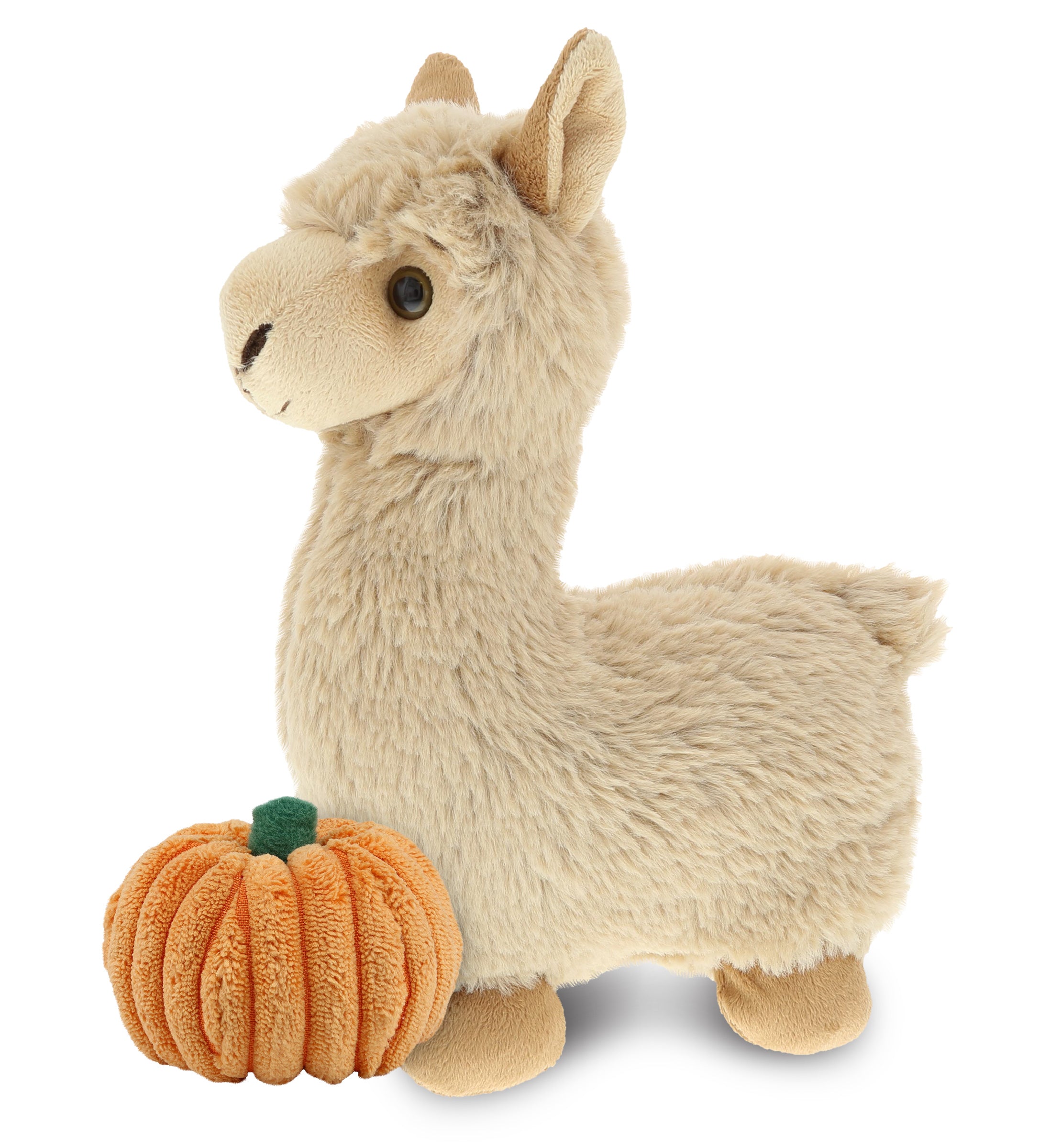 PLUSH PUMPKIN - SUPER-SOFT PLUSH - LLAMA - BEIGE